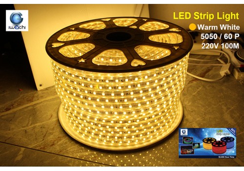 IWACHI-5050-100M-60P-WW